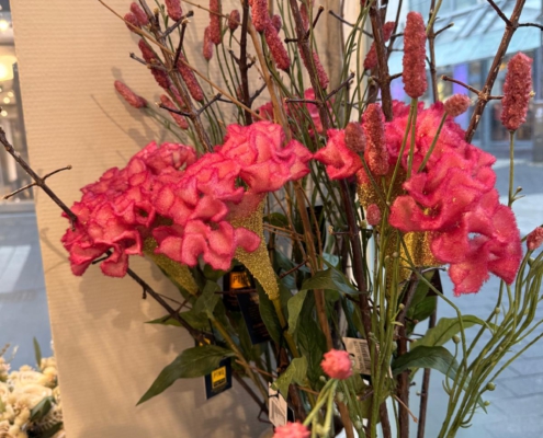 impressionen-2026-blumen-von-marlene17