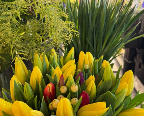 impressionen-2026-blumen-von-marlene4