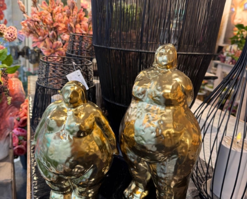 impressionen-2026-blumen-von-marlene7